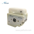 Multichannel peristaltic pump head With Low flow rate